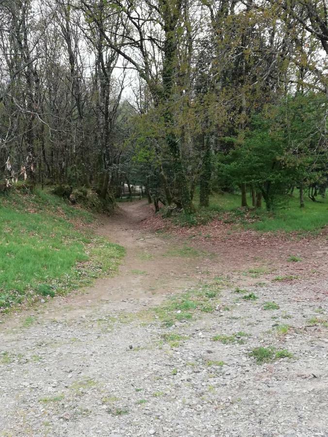 Apartamento Sigueeiro Camino Ingles Sigueiro Zewnętrze zdjęcie