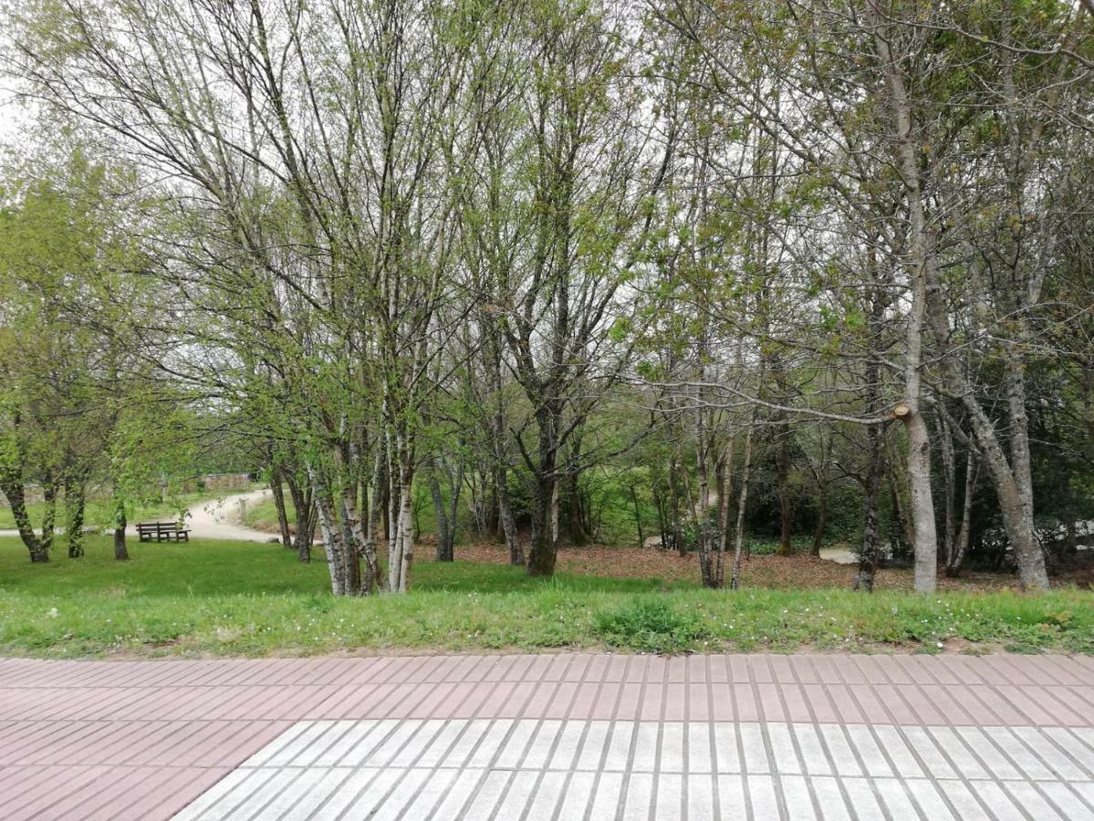 Apartamento Sigueeiro Camino Ingles Sigueiro Zewnętrze zdjęcie